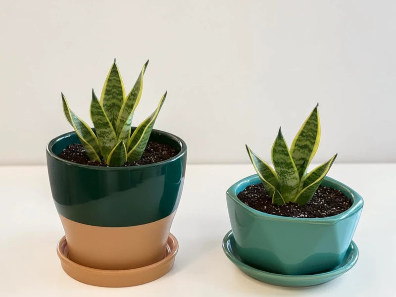 Ceramic Plant Pot Set with Saucers – Dark Green &amp; Teal (Set of 2)
